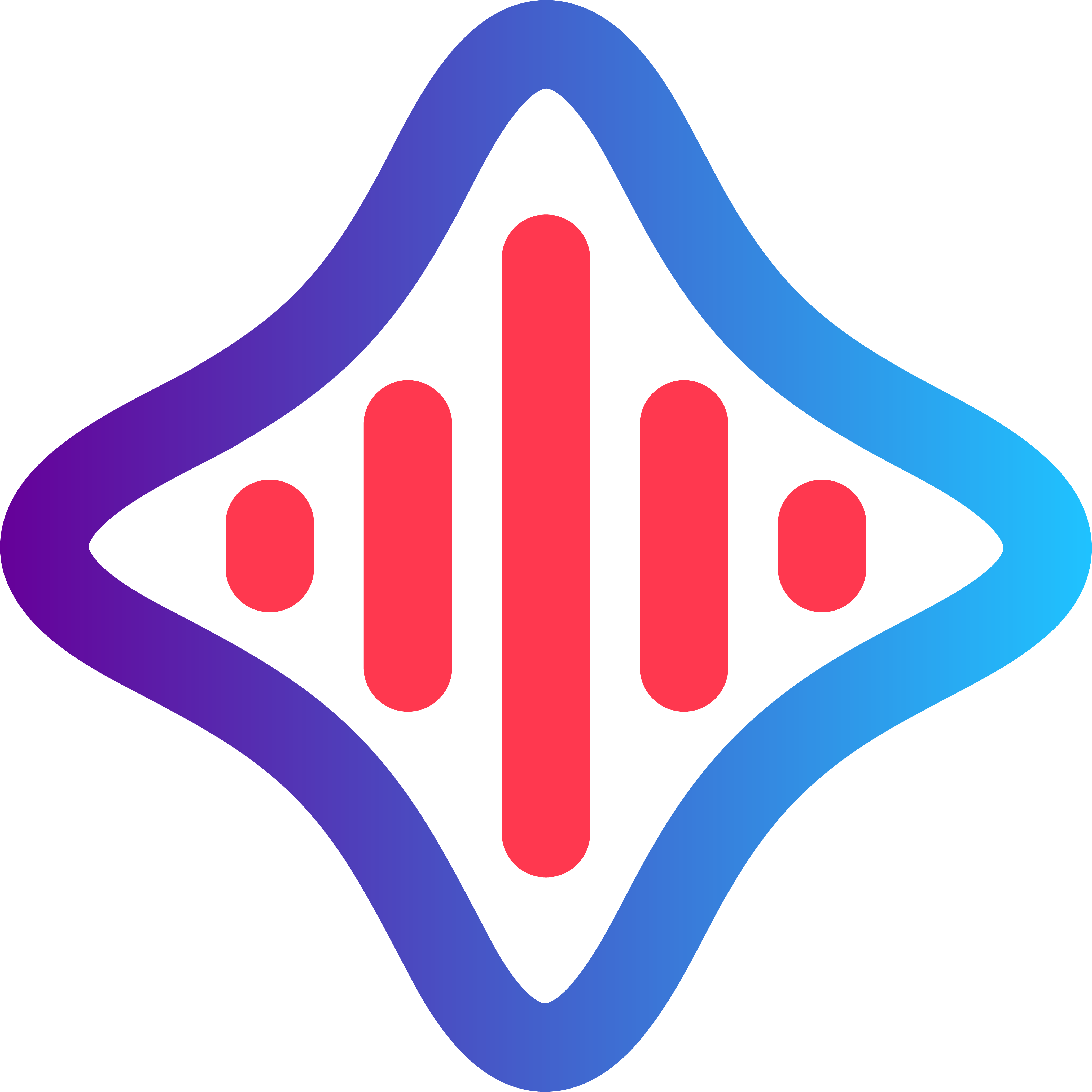 audio icon